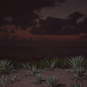 黄色视频短视频免费
